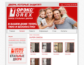 Разработка сайта официального дилера компании torex